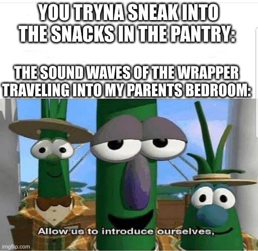 Dang it, I got caught again! | YOU TRYNA SNEAK INTO THE SNACKS IN THE PANTRY:; THE SOUND WAVES OF THE WRAPPER TRAVELING INTO MY PARENTS BEDROOM: | image tagged in allow us to introduce ourselves | made w/ Imgflip meme maker