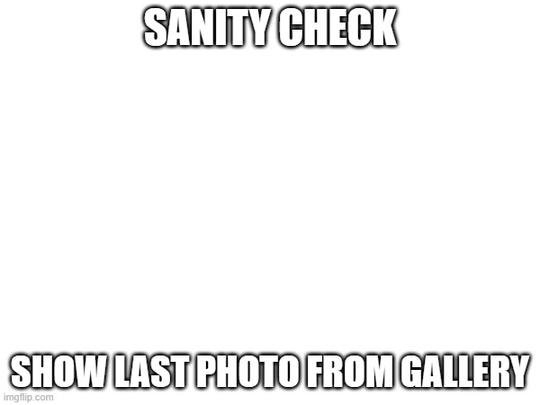 SANITY CHECK; SHOW LAST PHOTO FROM GALLERY | made w/ Imgflip meme maker