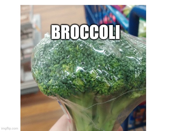 Lettuce got 10000 upvotes so what if we try broccoli ? | BROCCOLI | image tagged in broccoli | made w/ Imgflip meme maker