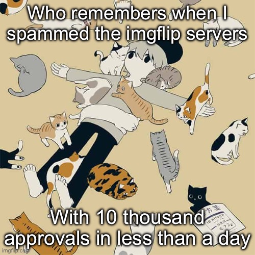 That was so chaotic fr | Who remembers when I spammed the imgflip servers; With 10 thousand approvals in less than a day | image tagged in avogado6 | made w/ Imgflip meme maker