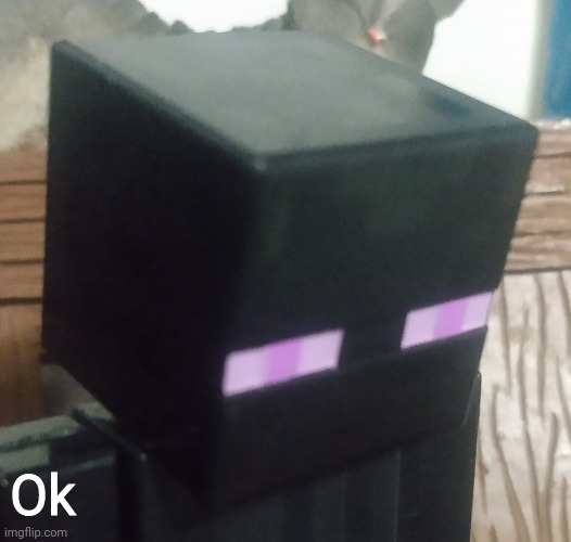 Enderman stare | Ok | image tagged in enderman stare | made w/ Imgflip meme maker