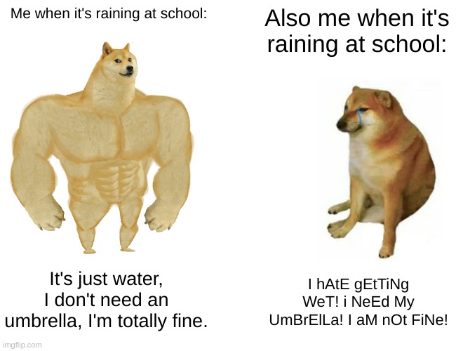 I have 2 sides when It rains at school: | Me when it's raining at school:; Also me when it's raining at school:; It's just water, I don't need an umbrella, I'm totally fine. I hAtE gEtTiNg WeT! i NeEd My UmBrElLa! I aM nOt FiNe! | image tagged in memes,buff doge vs cheems | made w/ Imgflip meme maker