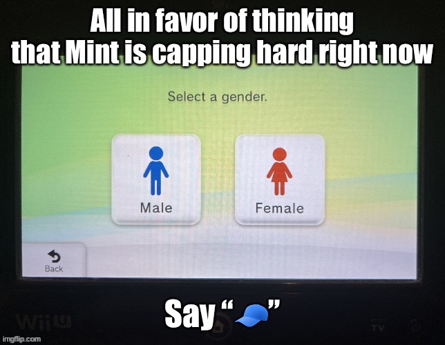 About her drafting in the military | All in favor of thinking that Mint is capping hard right now; Say “🧢” | image tagged in balls | made w/ Imgflip meme maker