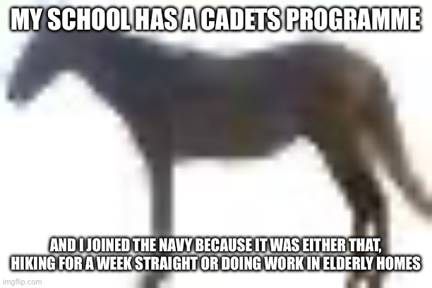 i wamnt boat | MY SCHOOL HAS A CADETS PROGRAMME; AND I JOINED THE NAVY BECAUSE IT WAS EITHER THAT, HIKING FOR A WEEK STRAIGHT OR DOING WORK IN ELDERLY HOMES | image tagged in man png | made w/ Imgflip meme maker