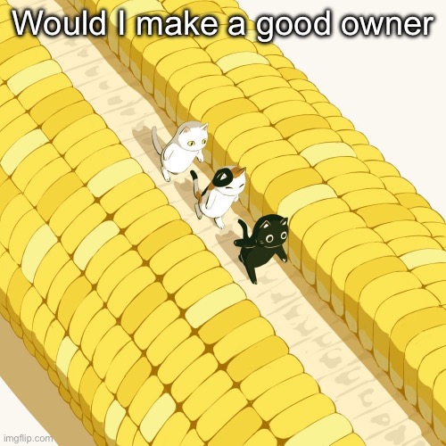 Avogado6 | Would I make a good owner | image tagged in avogado6 | made w/ Imgflip meme maker