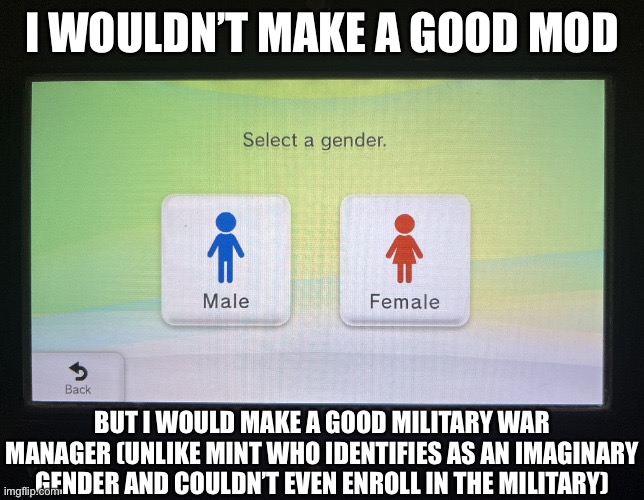 The | I WOULDN’T MAKE A GOOD MOD; BUT I WOULD MAKE A GOOD MILITARY WAR MANAGER (UNLIKE MINT WHO IDENTIFIES AS AN IMAGINARY GENDER AND COULDN’T EVEN ENROLL IN THE MILITARY) | image tagged in balls | made w/ Imgflip meme maker