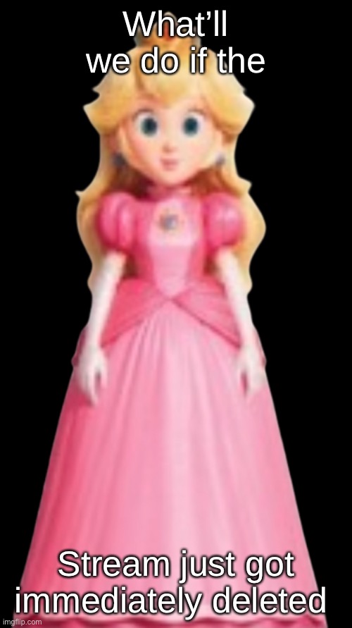 Peach Model (TSMBM) | What’ll we do if the; Stream just got immediately deleted | image tagged in peach model tsmbm | made w/ Imgflip meme maker