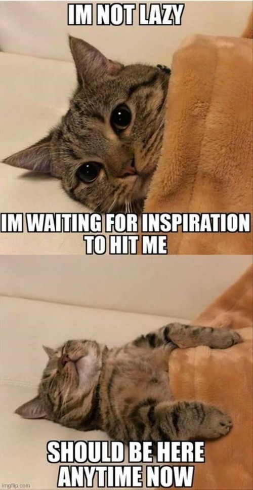 me all the time | image tagged in lazy,laziness | made w/ Imgflip meme maker