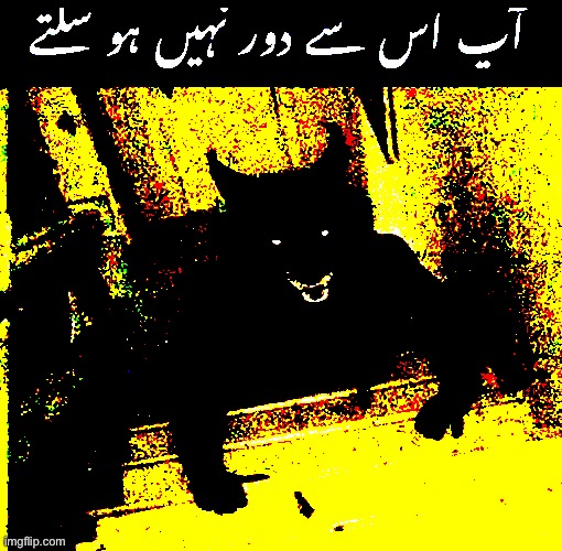 made w/ Imgflip meme maker