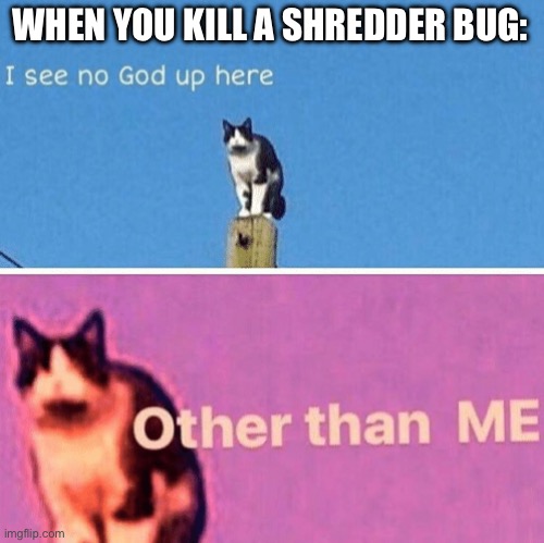Hail pole cat | WHEN YOU KILL A SHREDDER BUG: | image tagged in hail pole cat | made w/ Imgflip meme maker