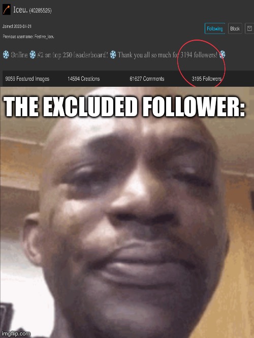 Sadnnesss | THE EXCLUDED FOLLOWER: | image tagged in iceu | made w/ Imgflip meme maker