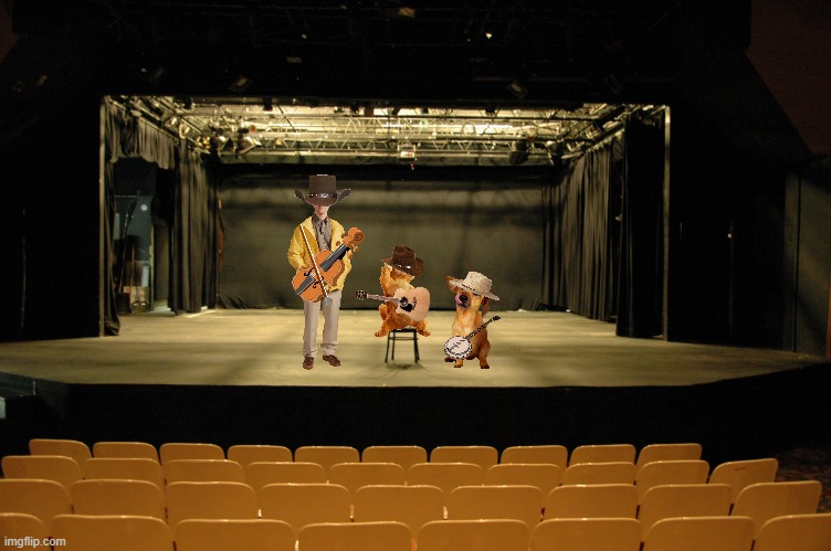 the garfield jamboree | image tagged in empty stage,country music,cats,garfield | made w/ Imgflip meme maker