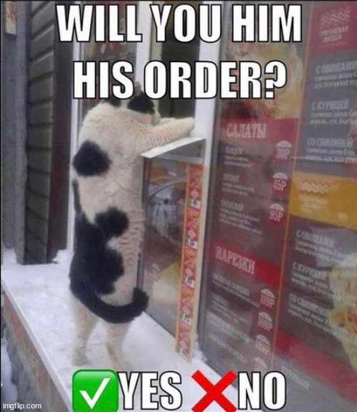 made w/ Imgflip meme maker