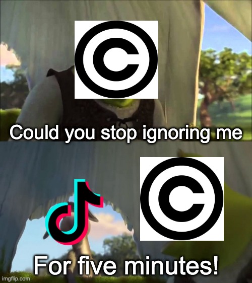 Tiktok needs to get copyrighted | Could you stop ignoring me; For five minutes! | image tagged in shrek five minutes,tiktok sucks | made w/ Imgflip meme maker