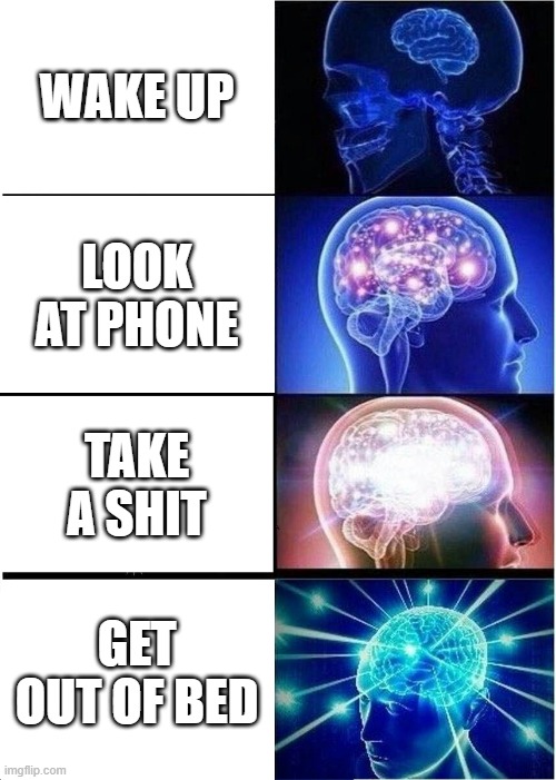 Wake Up | WAKE UP; LOOK AT PHONE; TAKE A SHIT; GET OUT OF BED | image tagged in memes,expanding brain,poop,funny memes | made w/ Imgflip meme maker