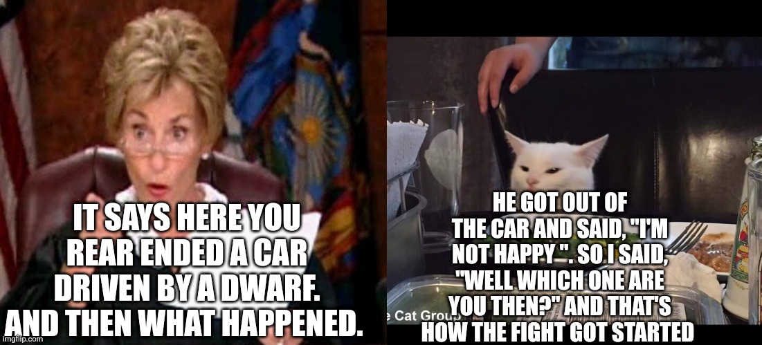 HE GOT OUT OF THE CAR AND SAID, "I'M NOT HAPPY ". SO I SAID, "WELL WHICH ONE ARE YOU THEN?" AND THAT'S HOW THE FIGHT GOT STARTED; IT SAYS HERE YOU REAR ENDED A CAR DRIVEN BY A DWARF. AND THEN WHAT HAPPENED. | image tagged in smudge the cat | made w/ Imgflip meme maker