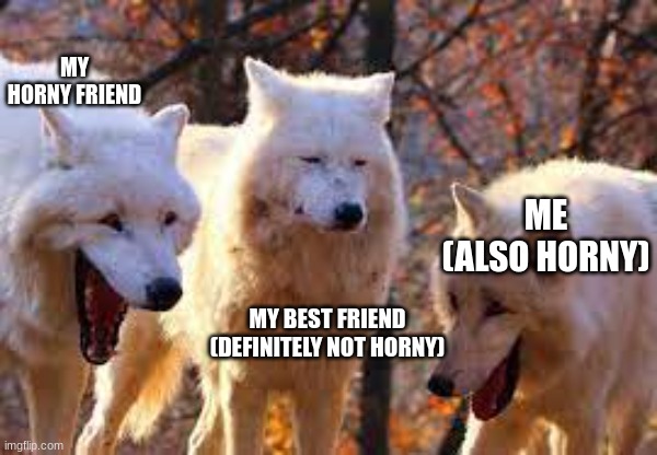 Ask any of them it's true | MY HORNY FRIEND; ME (ALSO HORNY); MY BEST FRIEND (DEFINITELY NOT HORNY) | image tagged in laughing wolves | made w/ Imgflip meme maker