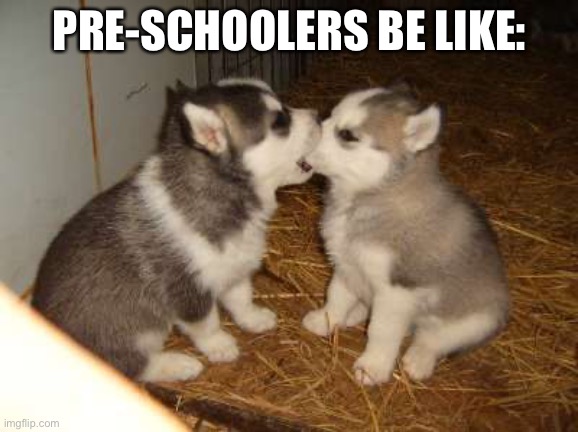 Cute Puppies | PRE-SCHOOLERS BE LIKE: | image tagged in memes,cute puppies | made w/ Imgflip meme maker