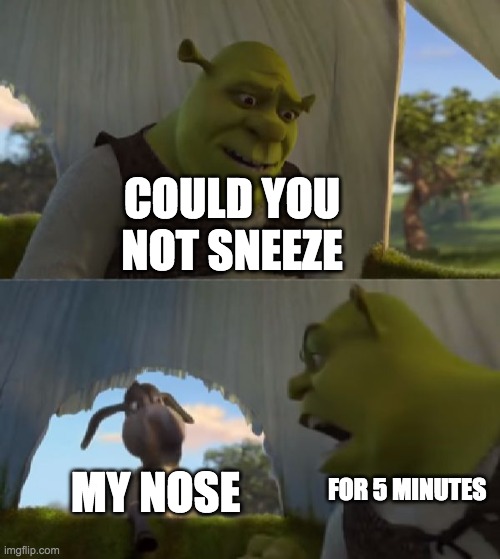 Who relates to this? | COULD YOU NOT SNEEZE; MY NOSE; FOR 5 MINUTES | image tagged in could you not ___ for 5 minutes | made w/ Imgflip meme maker