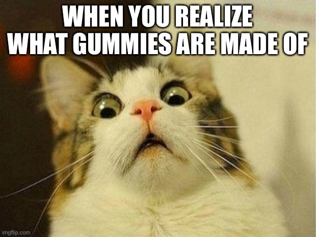 Scared Cat Meme | WHEN YOU REALIZE WHAT GUMMIES ARE MADE OF | image tagged in memes,scared cat | made w/ Imgflip meme maker