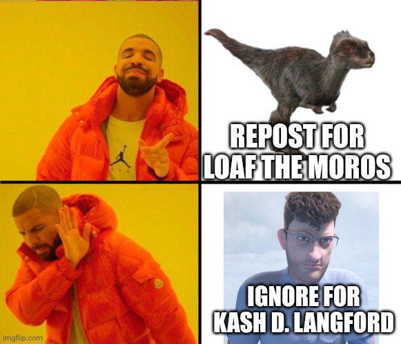 drake yes no reverse | REPOST FOR LOAF THE MOROS; IGNORE FOR KASH D. LANGFORD | image tagged in drake yes no reverse | made w/ Imgflip meme maker