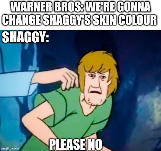 The new spinoff ruined the characters | WARNER BROS: WE'RE GONNA CHANGE SHAGGY'S SKIN COLOUR; SHAGGY:; PLEASE NO | image tagged in shaggy meme,shaggy,scooby doo,warner bros,n word | made w/ Imgflip meme maker