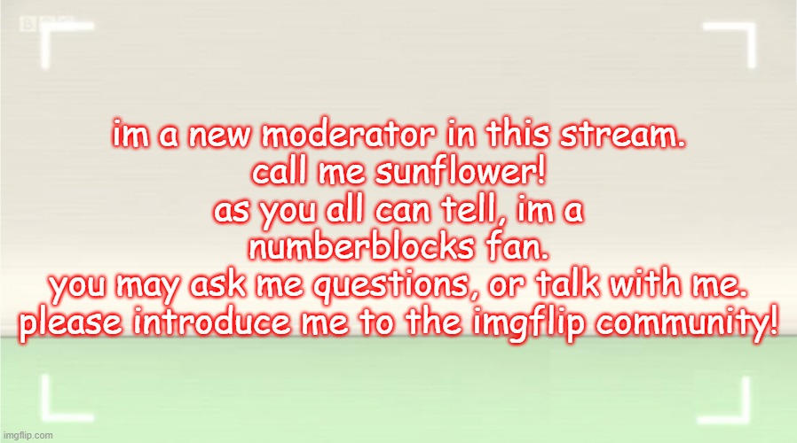 Numberblocks template | im a new moderator in this stream.
call me sunflower!
as you all can tell, im a numberblocks fan.
you may ask me questions, or talk with me.
please introduce me to the imgflip community! | image tagged in numberblocks template | made w/ Imgflip meme maker