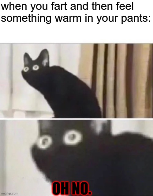 Oh No Black Cat | when you fart and then feel something warm in your pants:; OH NO. | image tagged in oh no black cat | made w/ Imgflip meme maker