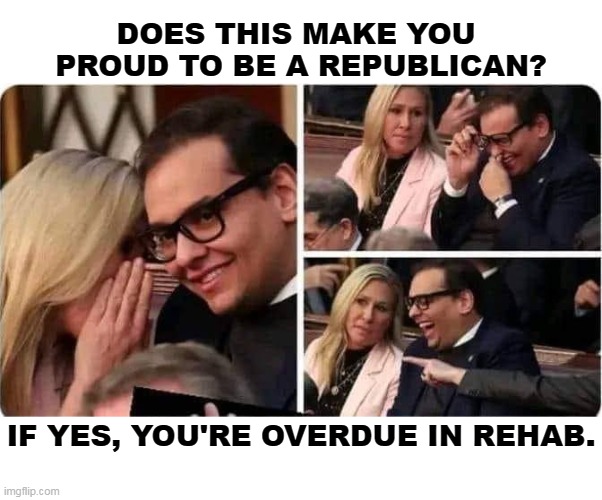 DOES THIS MAKE YOU 
PROUD TO BE A REPUBLICAN? IF YES, YOU'RE OVERDUE IN REHAB. | image tagged in mtg,george santos,republican,maga,empty | made w/ Imgflip meme maker