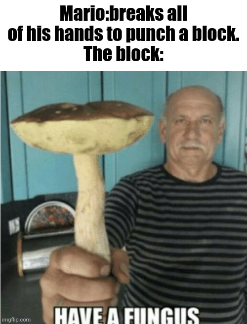 Mario:breaks all of his hands to punch a block.
The block: | made w/ Imgflip meme maker