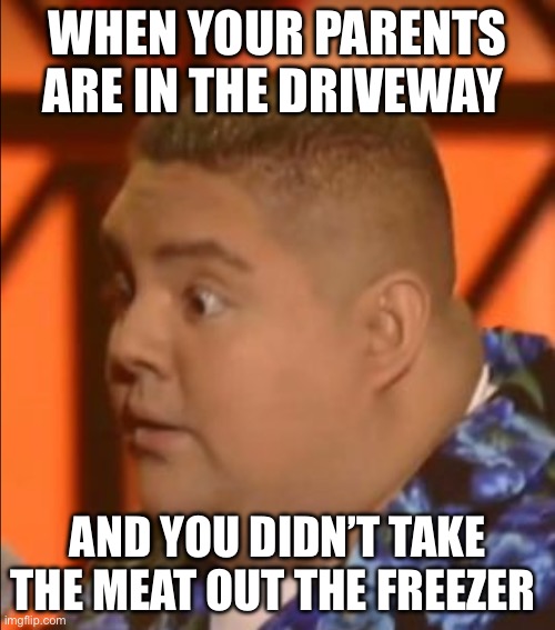 New version of meme | WHEN YOUR PARENTS ARE IN THE DRIVEWAY; AND YOU DIDN’T TAKE THE MEAT OUT THE FREEZER | image tagged in fluffy | made w/ Imgflip meme maker