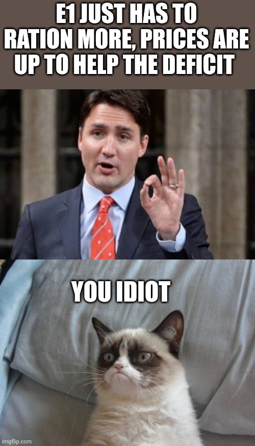 Trudeau Grumpy Cat | E1 JUST HAS TO RATION MORE, PRICES ARE UP TO HELP THE DEFICIT; YOU IDIOT | image tagged in trudeau grumpy cat | made w/ Imgflip meme maker