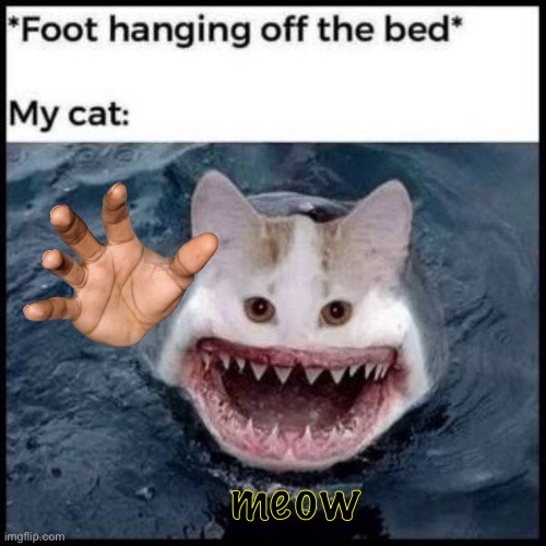 meow | meow | image tagged in dark humor,memes | made w/ Imgflip meme maker