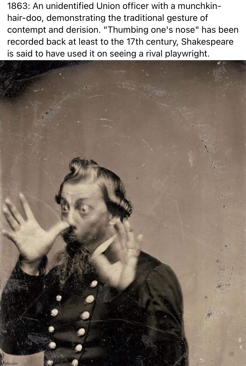 image tagged in union officer thumbs nose | made w/ Imgflip meme maker