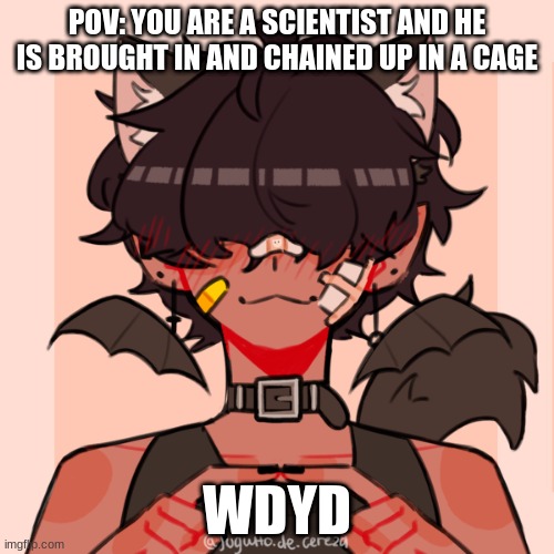 POV: YOU ARE A SCIENTIST AND HE IS BROUGHT IN AND CHAINED UP IN A CAGE; WDYD | made w/ Imgflip meme maker