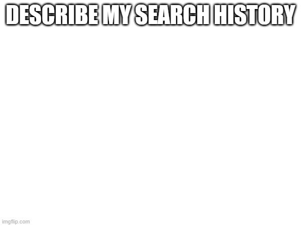 DESCRIBE MY SEARCH HISTORY | made w/ Imgflip meme maker