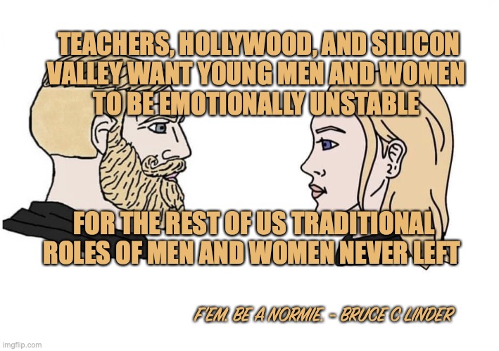 Hollywood vs America | TEACHERS, HOLLYWOOD, AND SILICON
VALLEY WANT YOUNG MEN AND WOMEN 
TO BE EMOTIONALLY UNSTABLE; FOR THE REST OF US TRADITIONAL ROLES OF MEN AND WOMEN NEVER LEFT; F'EM. BE A NORMIE. - BRUCE C LINDER | image tagged in gender,america,education,hollywood,silicon valley | made w/ Imgflip meme maker