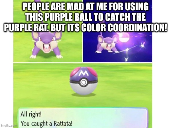 PEOPLE ARE MAD AT ME FOR USING THIS PURPLE BALL TO CATCH THE PURPLE RAT. BUT ITS COLOR COORDINATION! | made w/ Imgflip meme maker