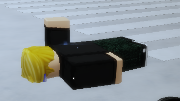 My Roblox avatar dying inside Blank Meme Template