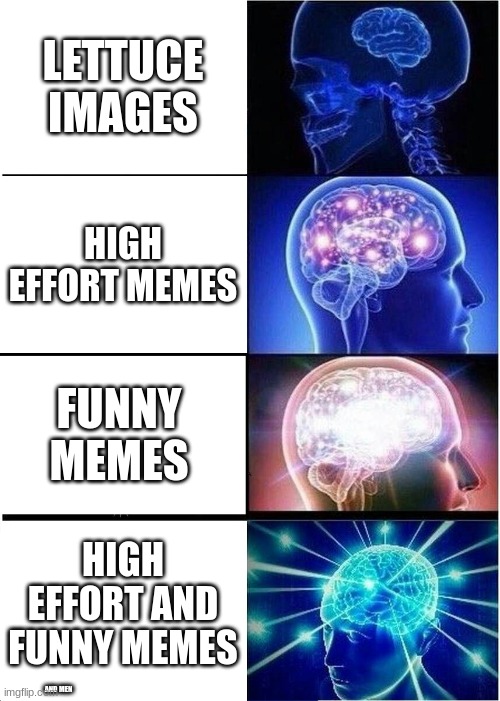 types of memes | LETTUCE IMAGES; HIGH EFFORT MEMES; FUNNY MEMES; HIGH EFFORT AND FUNNY MEMES; AND MEN | image tagged in memes,expanding brain,funny memes | made w/ Imgflip meme maker