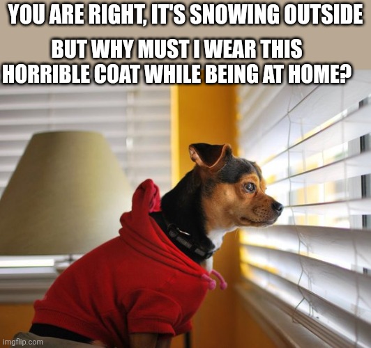 Me waiting for my Amazon package | YOU ARE RIGHT, IT'S SNOWING OUTSIDE; BUT WHY MUST I WEAR THIS HORRIBLE COAT WHILE BEING AT HOME? | image tagged in me waiting for my amazon package | made w/ Imgflip meme maker