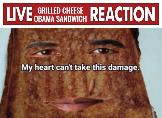 Live grilled cheese Obama sandwich reaction Blank Meme Template