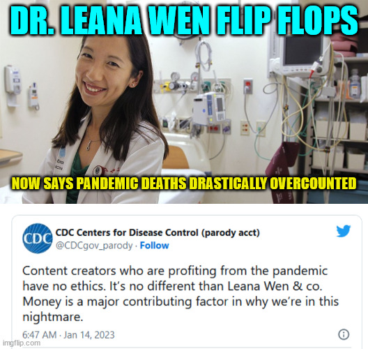 Covid liars have gone full CYA... | DR. LEANA WEN FLIP FLOPS; NOW SAYS PANDEMIC DEATHS DRASTICALLY OVERCOUNTED | image tagged in covid,liars,flip flops | made w/ Imgflip meme maker