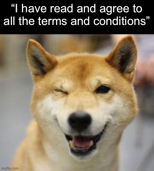 Let’s be real: who reads that stuff? | “I have read and agree to all the terms and conditions” | image tagged in wink doge | made w/ Imgflip meme maker