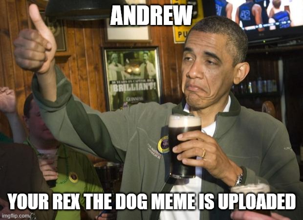 Me be like | ANDREW; YOUR REX THE DOG MEME IS UPLOADED | image tagged in not bad | made w/ Imgflip meme maker