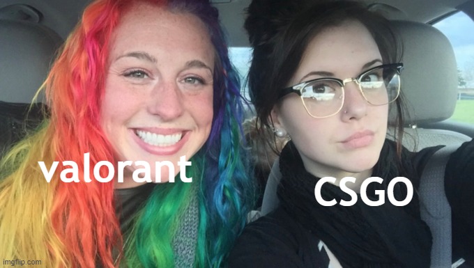 My Sister And I Are Polar Opposites | CSGO; valorant | image tagged in my sister and i are polar opposites | made w/ Imgflip meme maker