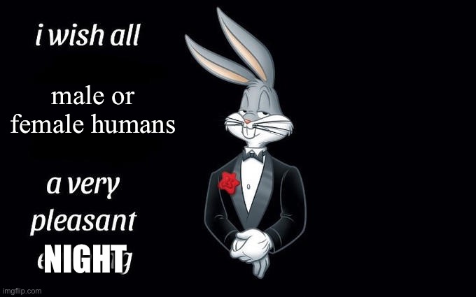 No exceptions this time | male or female humans; NIGHT | image tagged in i wish all the x a very pleasant evening,balls,homophobia,anti furry,thats based,based | made w/ Imgflip meme maker