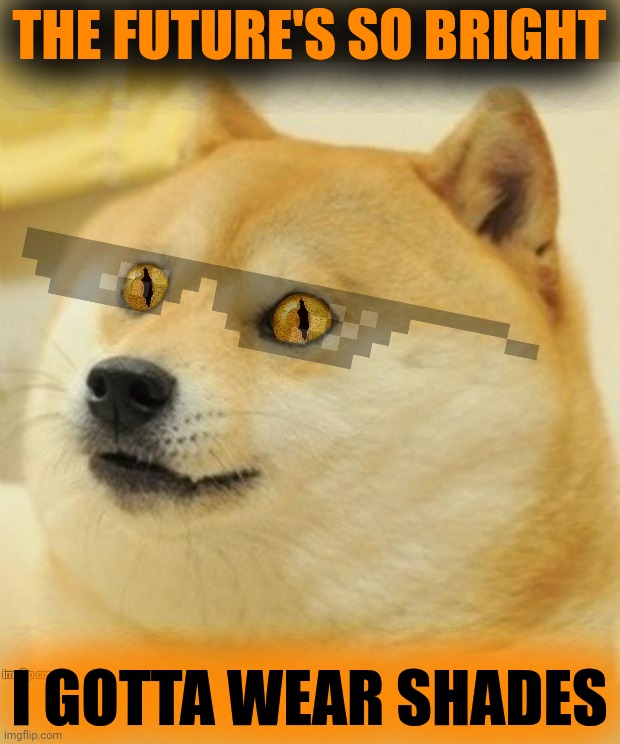 Doge Snake Eyes | THE FUTURE'S SO BRIGHT I GOTTA WEAR SHADES | image tagged in doge snake eyes | made w/ Imgflip meme maker