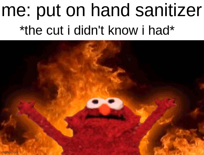 iv been looking and i still cant find it | me: put on hand sanitizer; *the cut i didn't know i had* | image tagged in elmo fire,cut | made w/ Imgflip meme maker