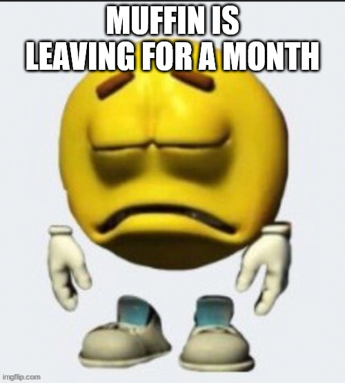 Sad emoji | MUFFIN IS LEAVING FOR A MONTH | image tagged in sad emoji boi | made w/ Imgflip meme maker